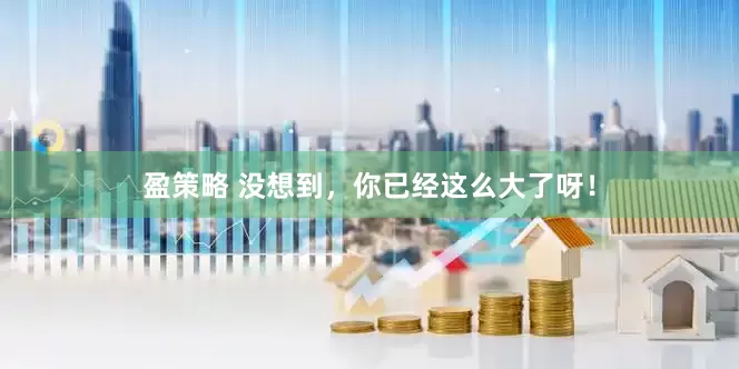 盈策略 没想到，你已经这么大了呀！