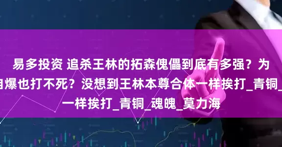 易多投资 追杀王林的拓森傀儡到底有多强？为何十亿魂幡自爆也打不死？没想到王林本尊合体一样挨打_青铜_魂魄_莫力海