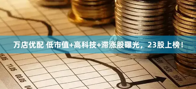 万店优配 低市值+高科技+滞涨股曝光，23股上榜！